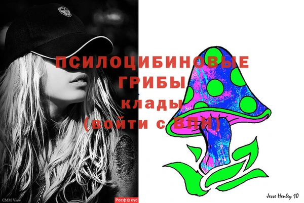 кокс Богородицк