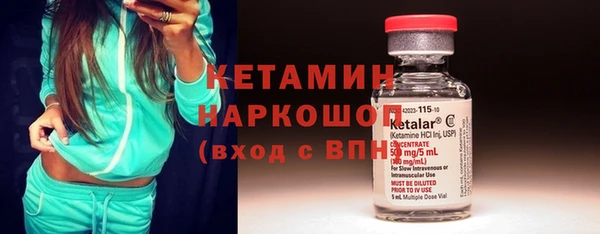 сатива Богданович