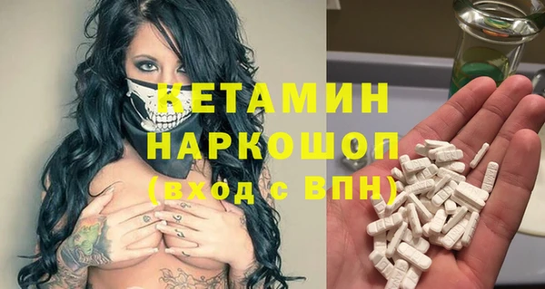 сатива Богданович