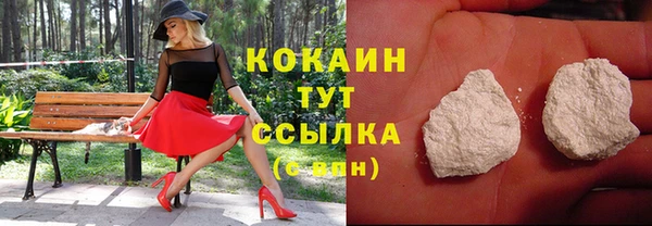 кокс Богородицк