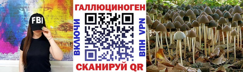 Псилоцибиновые грибы мухоморы  гидра ссылки  Кодинск 