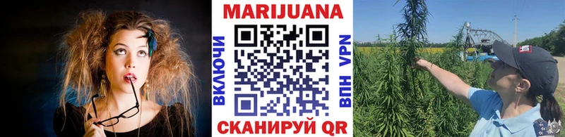 мега ONION  сколько стоит  Кодинск  Бошки марихуана семена 